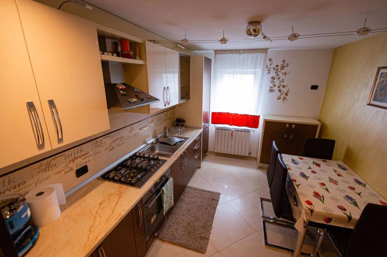 Apartament Danci. Borşa Esterno foto
